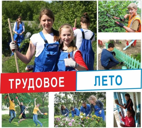 Летняя занятость подростков