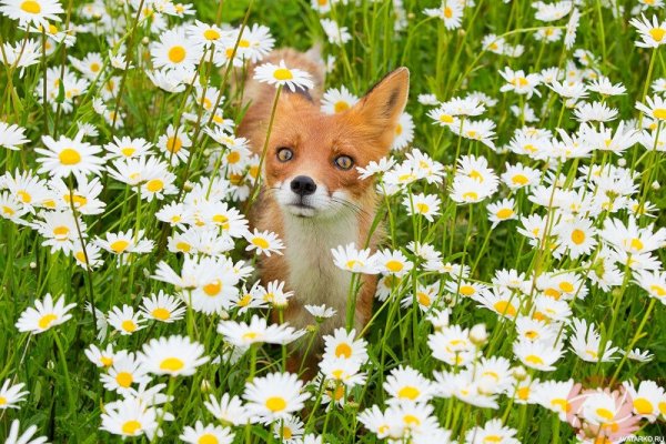 Геннадий Юсин фотограф выставка