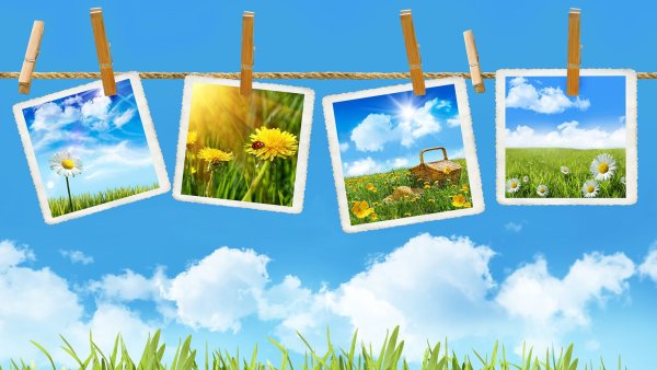 Летний фон для презентации