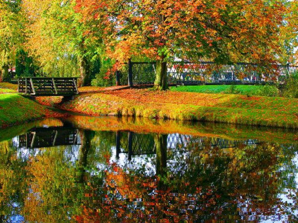 Лето сменяется осенью