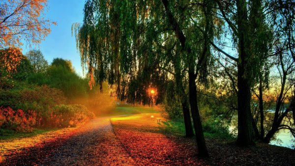 Солнце осенью