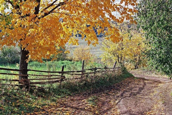 Природа Весна осень