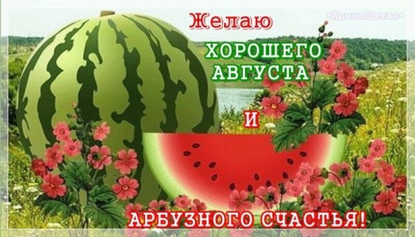 Открытка Арбуз