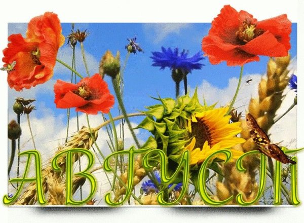 Август открытки