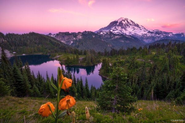 Природа лето горы