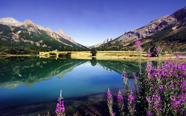 Пейзажи природы