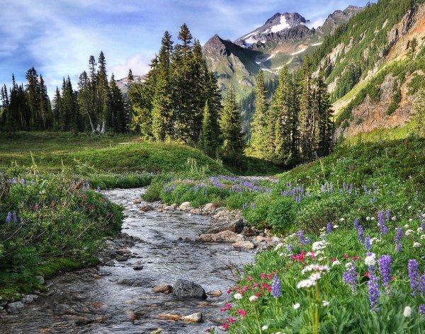 Ручей Горная речка Урал