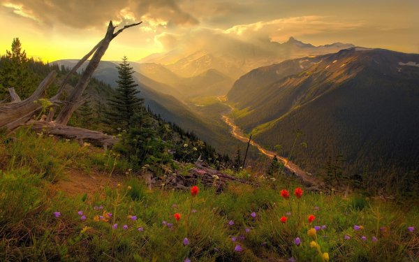 Яркая природа