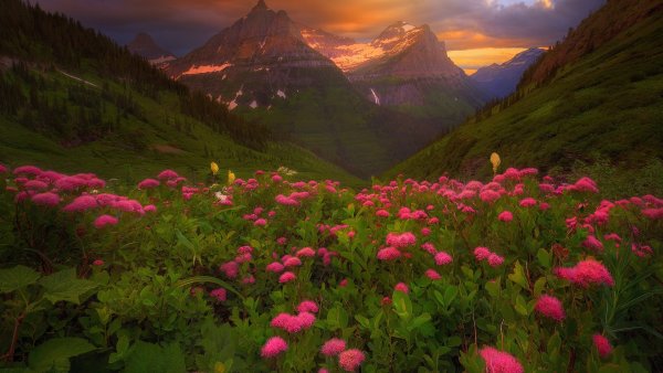 Шварцвальд озеро