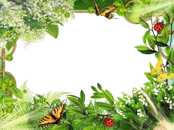 Летняя рамка