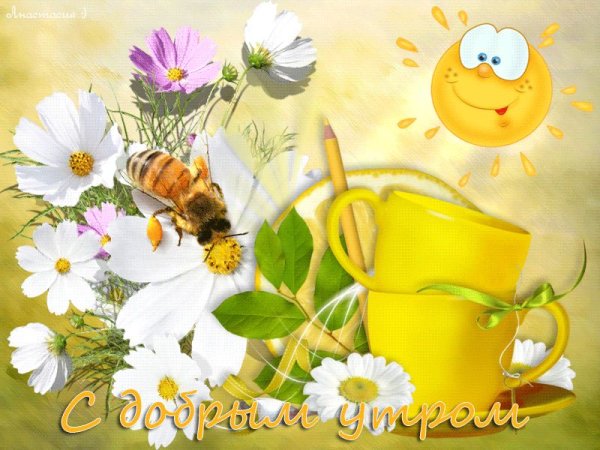 С добрым светлым летним утром