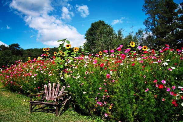 Весенний сад (Spring Topiary Garden)