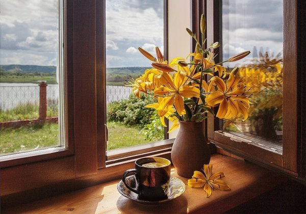 Завтрак на природе