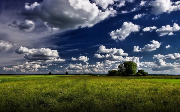 Небо простор