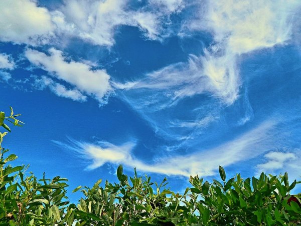 Летнее небо