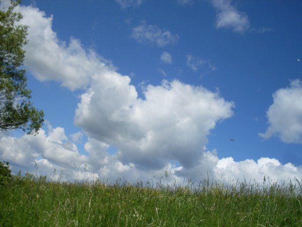 Летние тучи