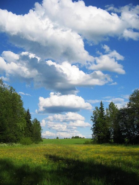 Небо летом