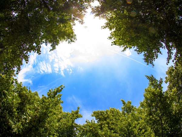 Летнее небо