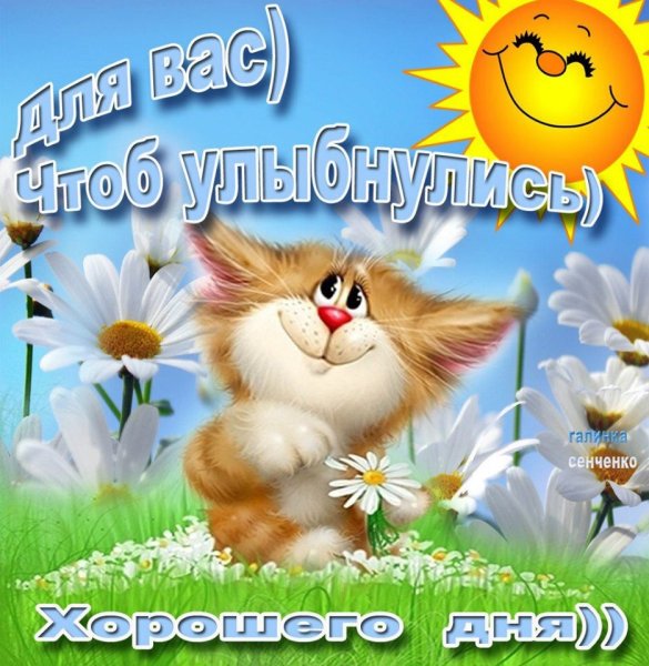 Привет доброго дня