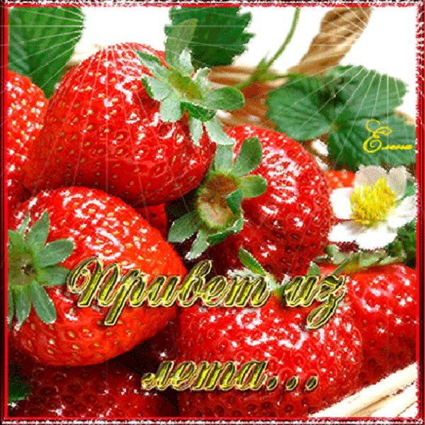 Клубника с пожеланиями