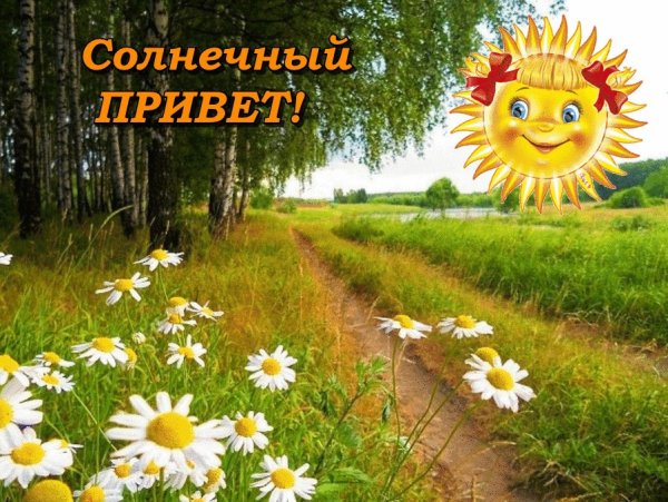 Доброго солнечного дня