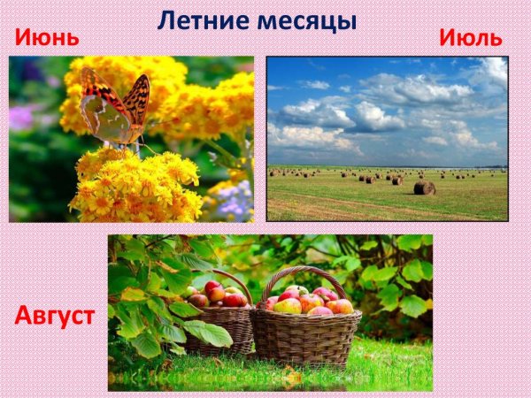 Летние месяцы