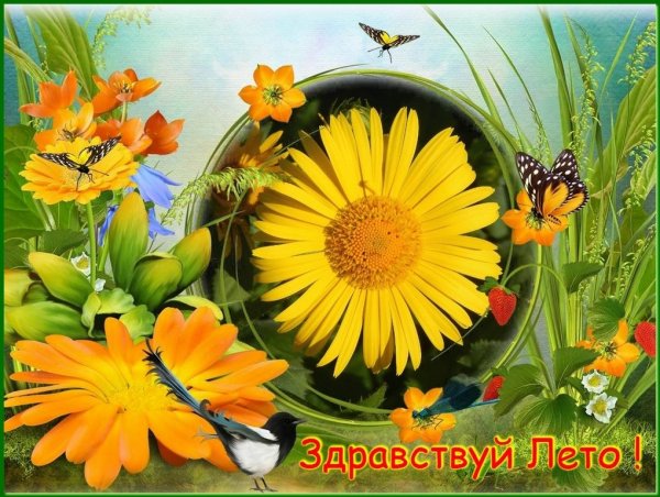 Открытки Здравствуй лето