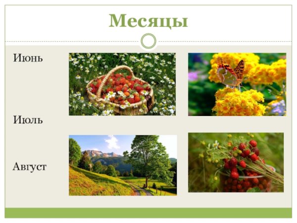 Летние месяцы для детей