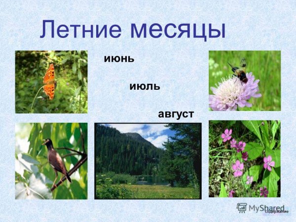 Июнь июль
