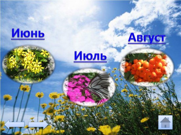 Летние месяцы
