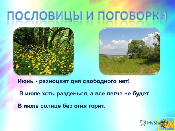 Летние месяцы для детей