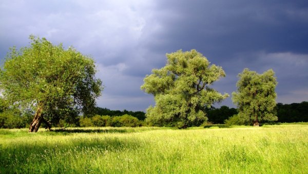 Русская природа