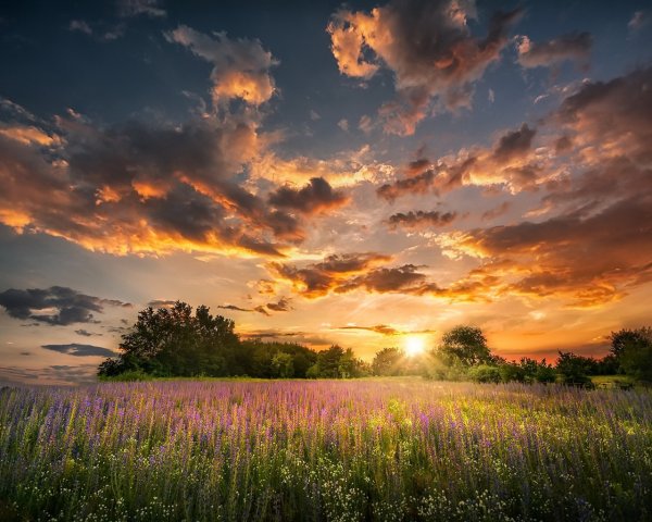 Природа солнце