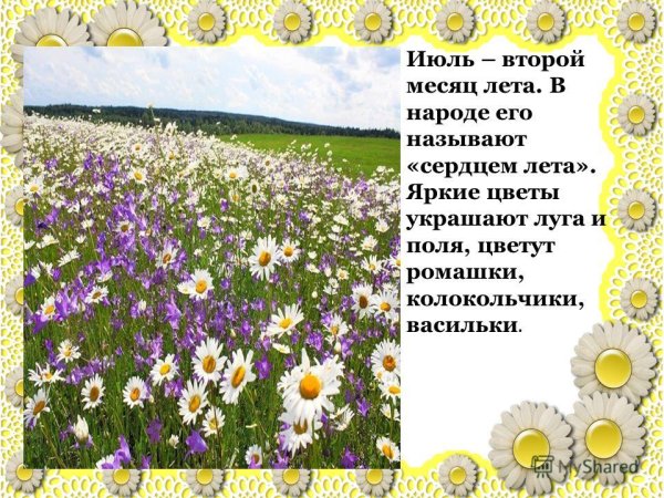 Со вторым месяцем лета