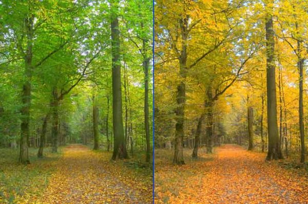 Лето переходит в осень