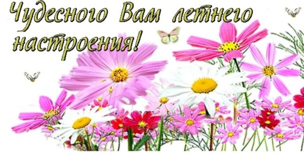 Летнего настроения надпись на прозрачном фоне