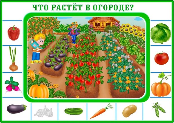 С урожаем поздравляю