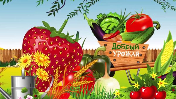Огород для детей