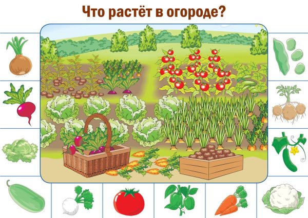 Пазлы огород