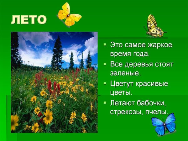 Летние забавы для дошкольников