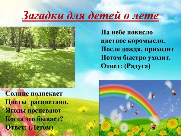 Вот оно какое наше лето