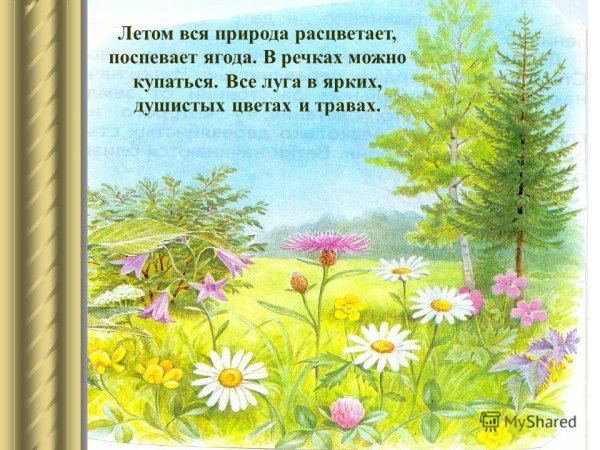 Сюжетные иллюстрации для детей