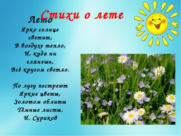 Природа летом для дошкольников