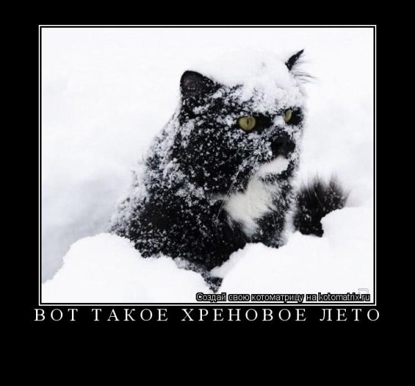 Вот такая хреновая зима
