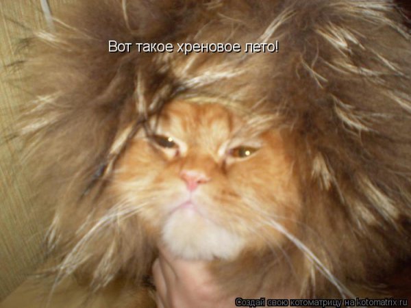 Суровое лето