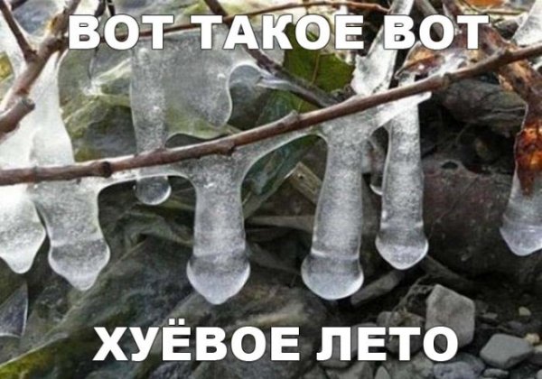 Приколы про Холодное лето