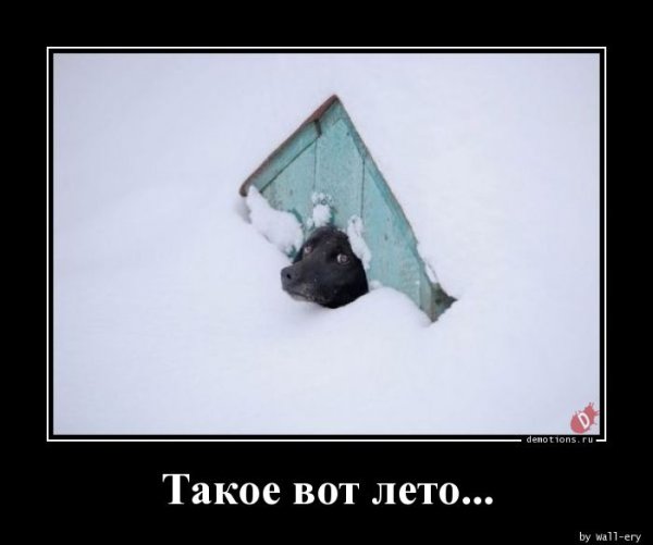 Хреновое лето рисунки прикольные