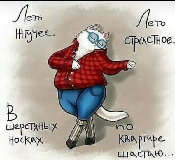 Приколы про Холодное лето