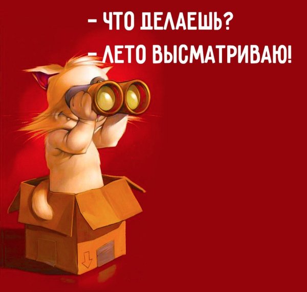 Приколы про Холодное лето