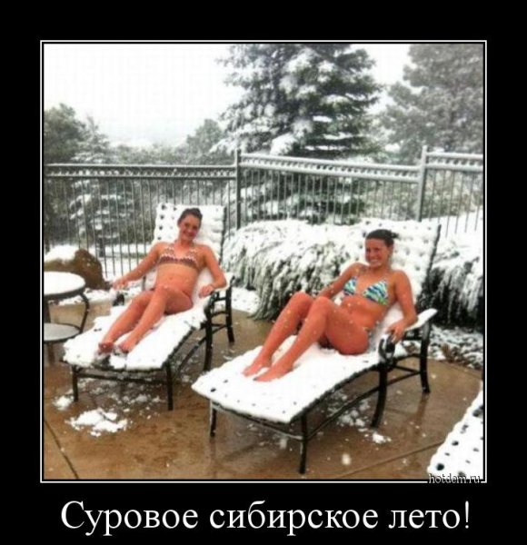 Смешные фразы про Холодное лето